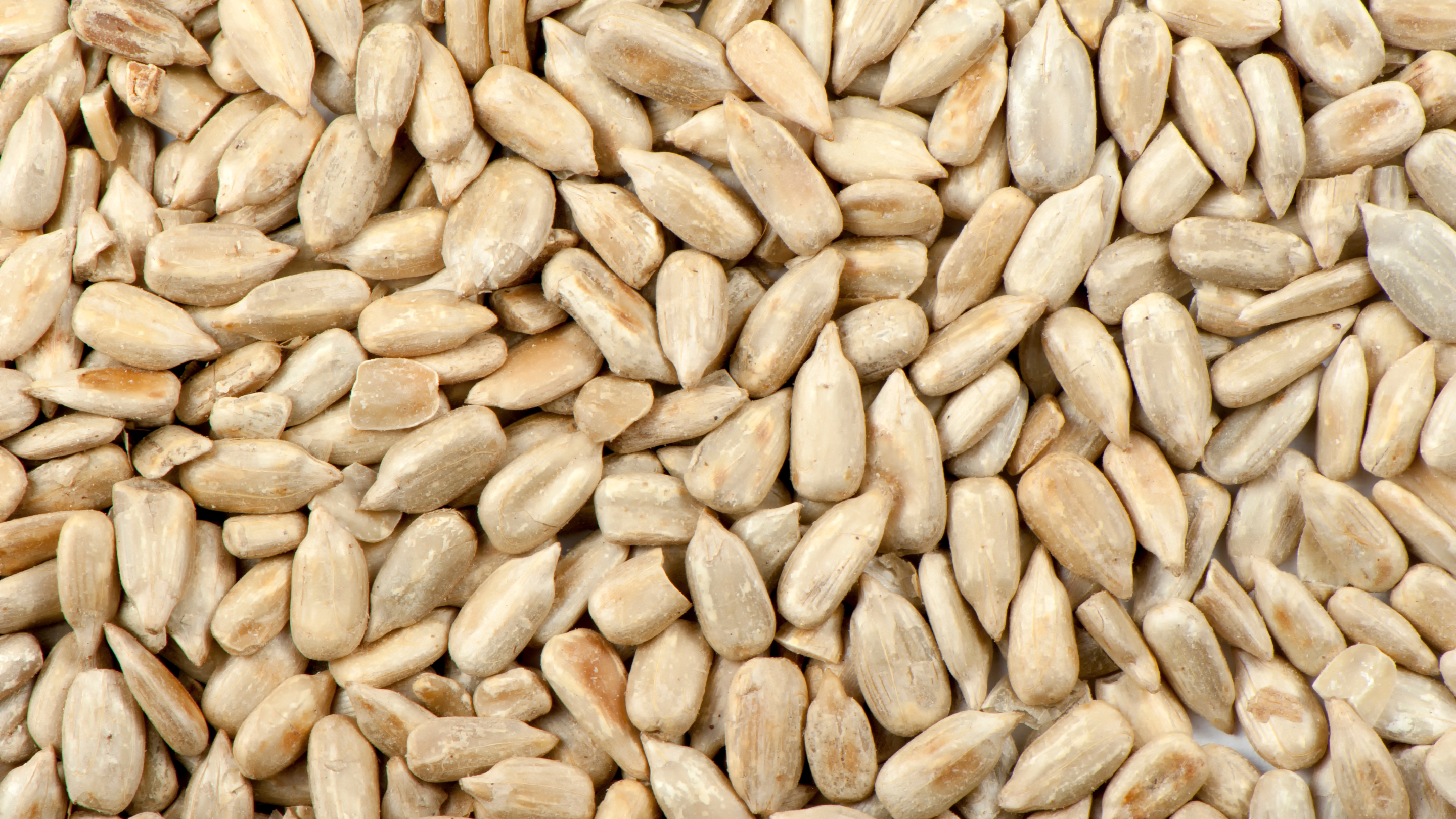 Sunflower Seeds
