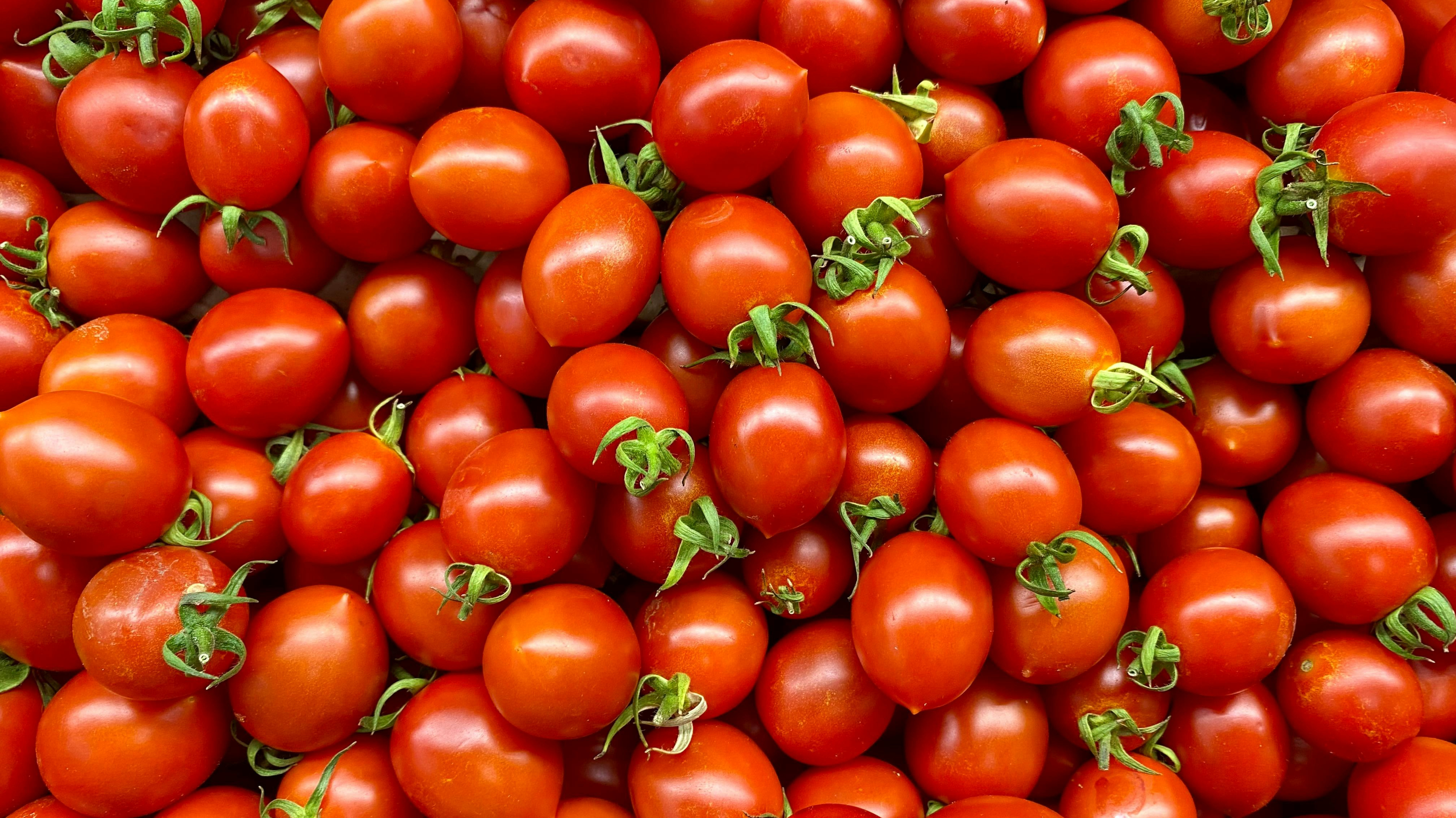 Tomatoes