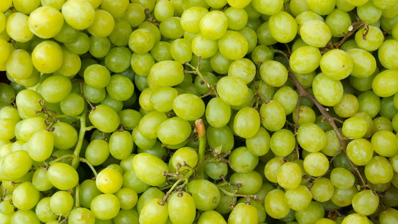 Grapes