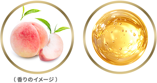 成分イメージ
