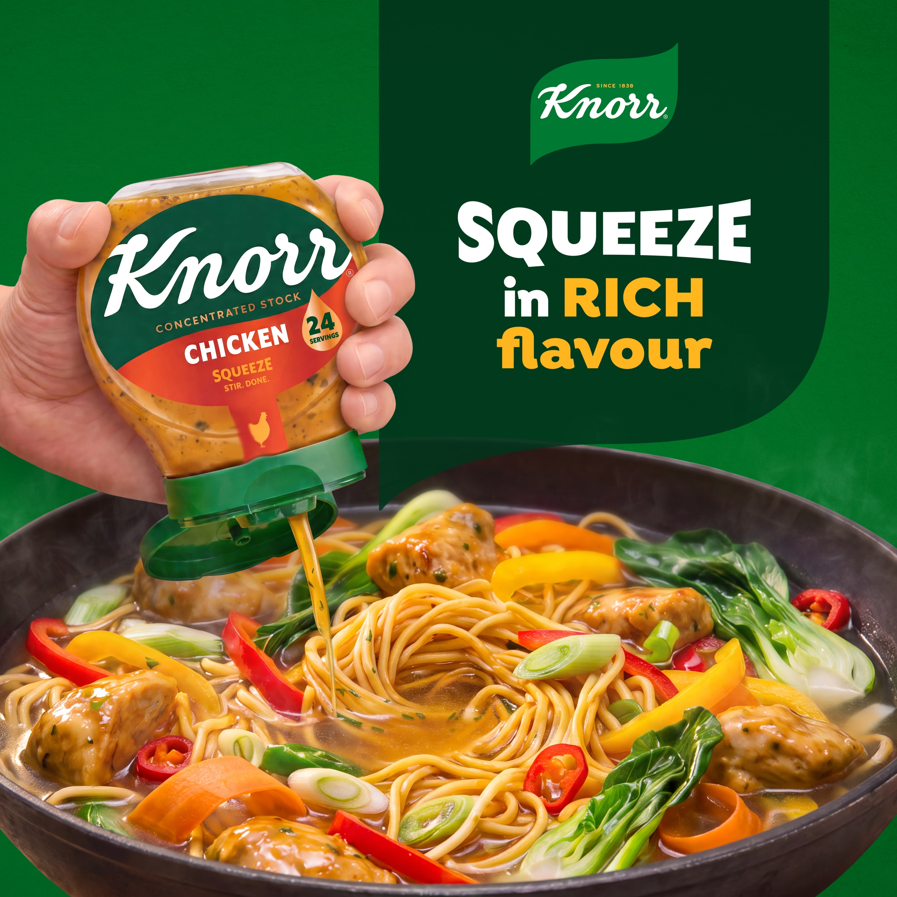 Knorr Concentrated Chicken Stock