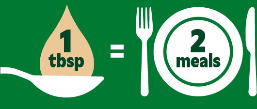 knorr