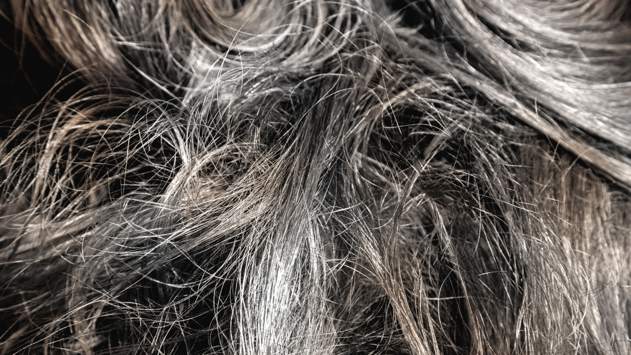 Signs of Premature Greying