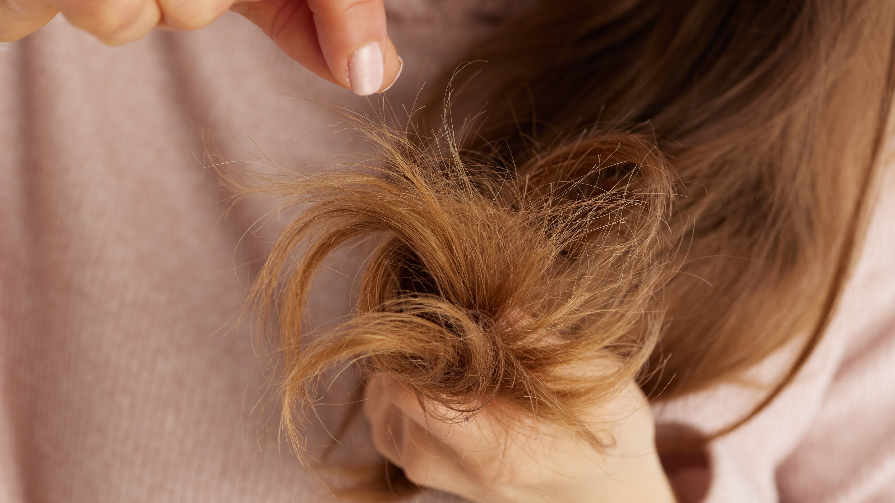 Why Does Hair Become Dry and Frizzy?