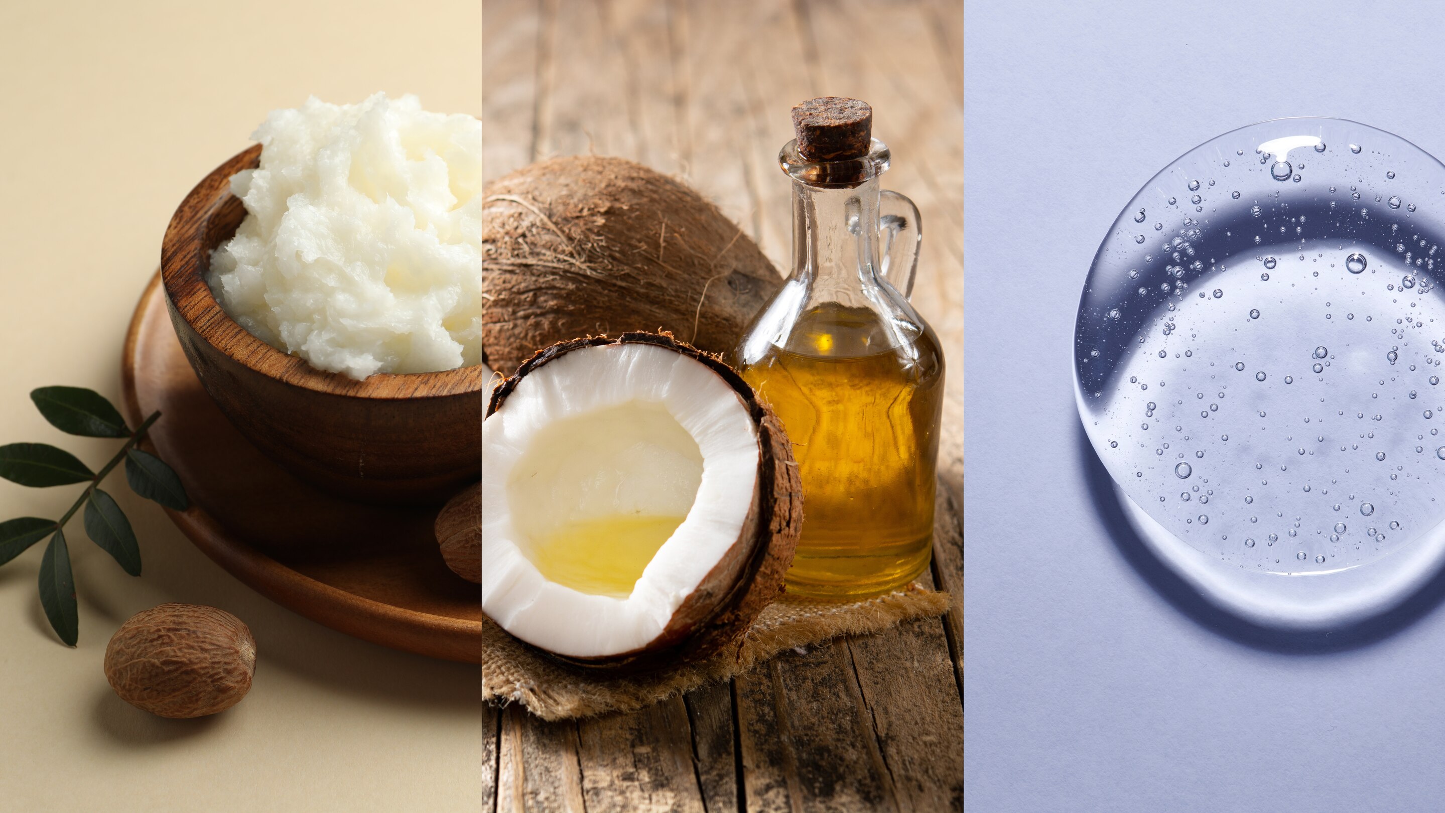 Ingredients That Help Tame Dryness and Frizz