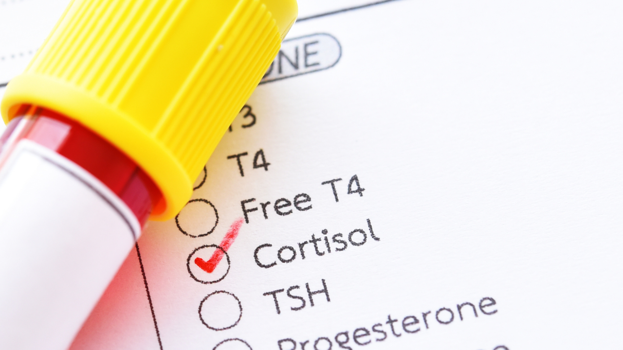 What Is Cortisol?