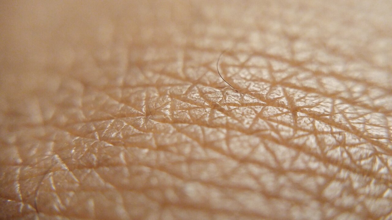 Rough or Bumpy Texture