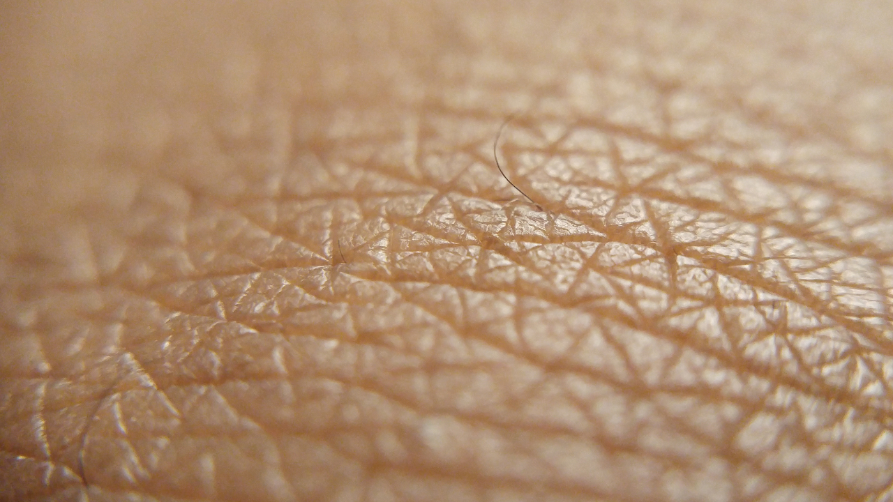 Rough or Bumpy Texture