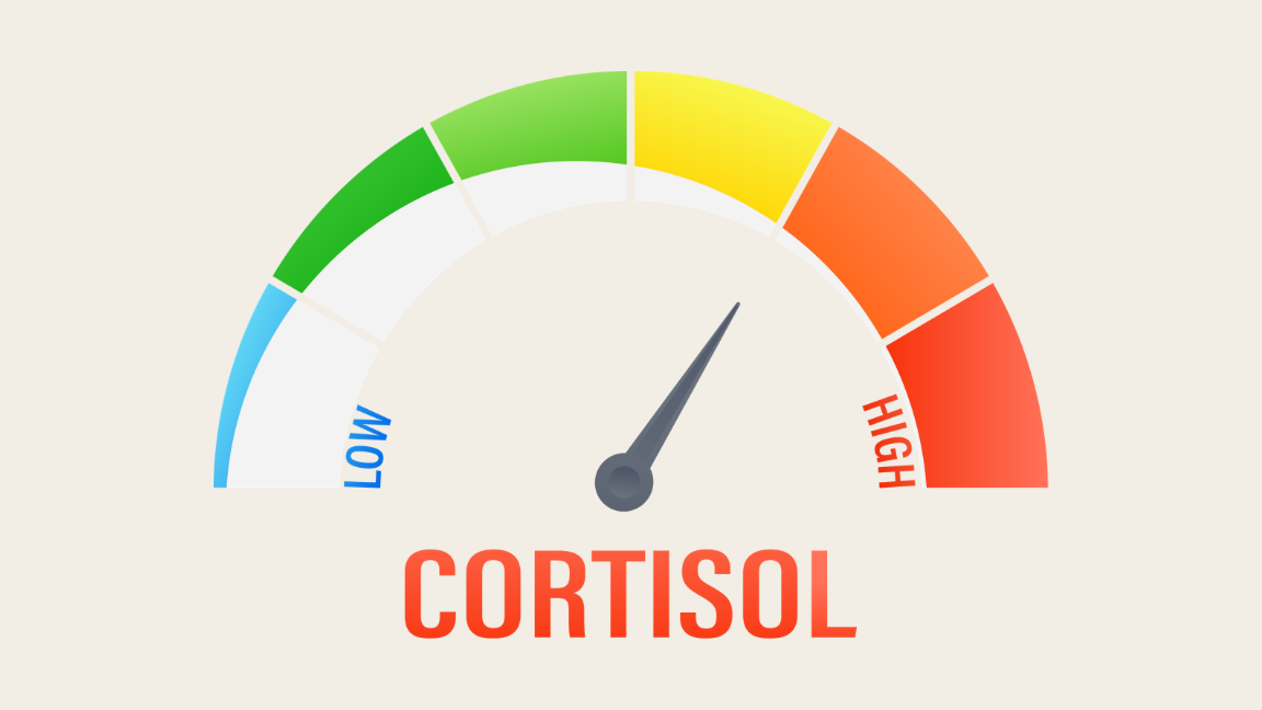 Cortisol Levels and Symptoms of High and Low Cortisol