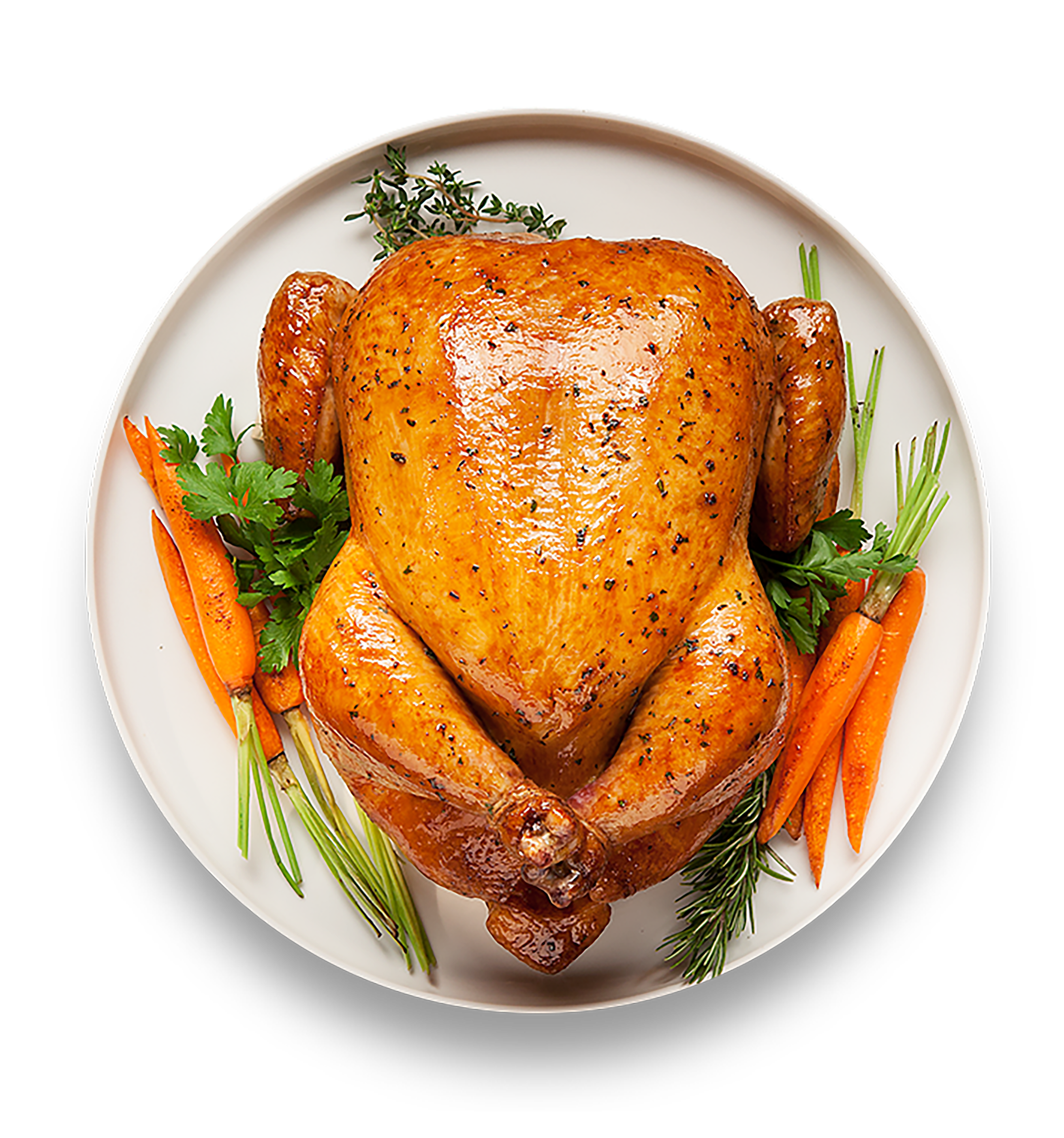 Chicken Recipes