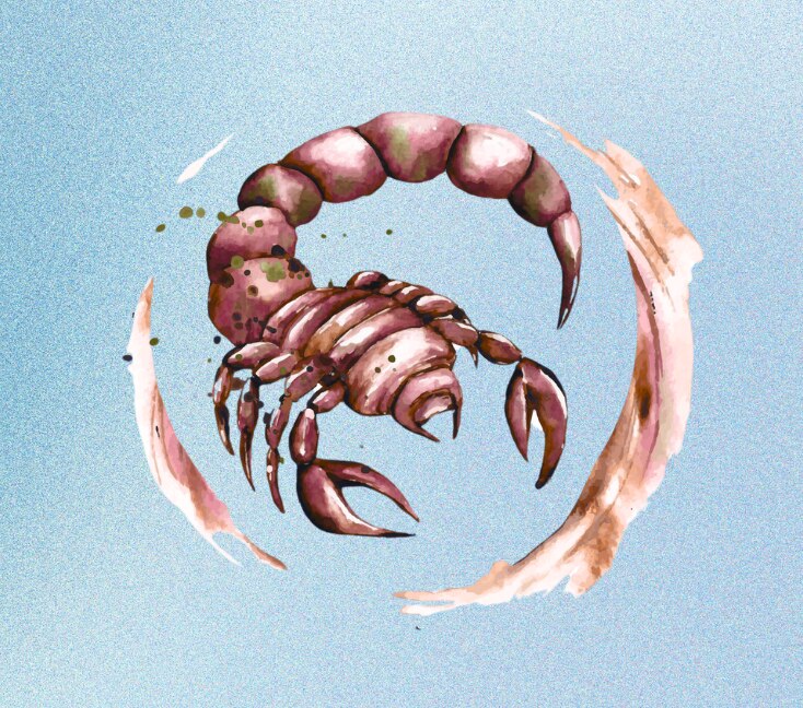 Image of Intense, Intuitive and Never Forgetting a Thing: Meet The Scorpio Zodiac Sign