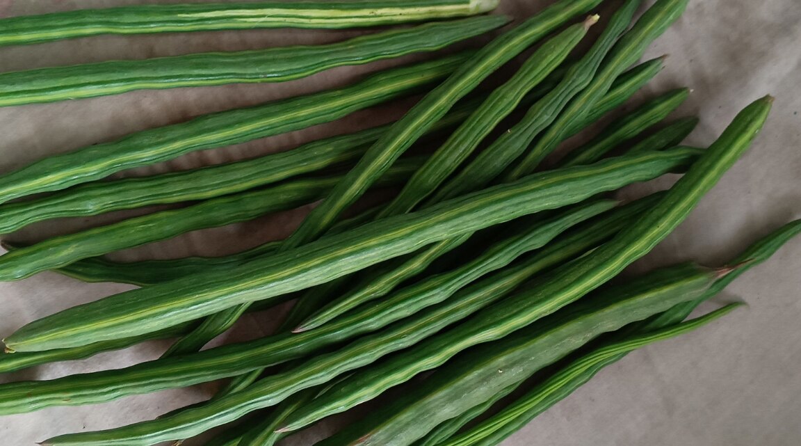 Drumstick Benefits, Nutrition and Uses