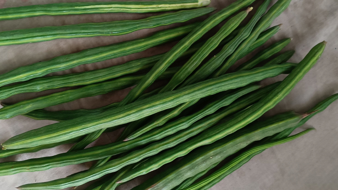 Drumstick Benefits, Nutrition and Uses