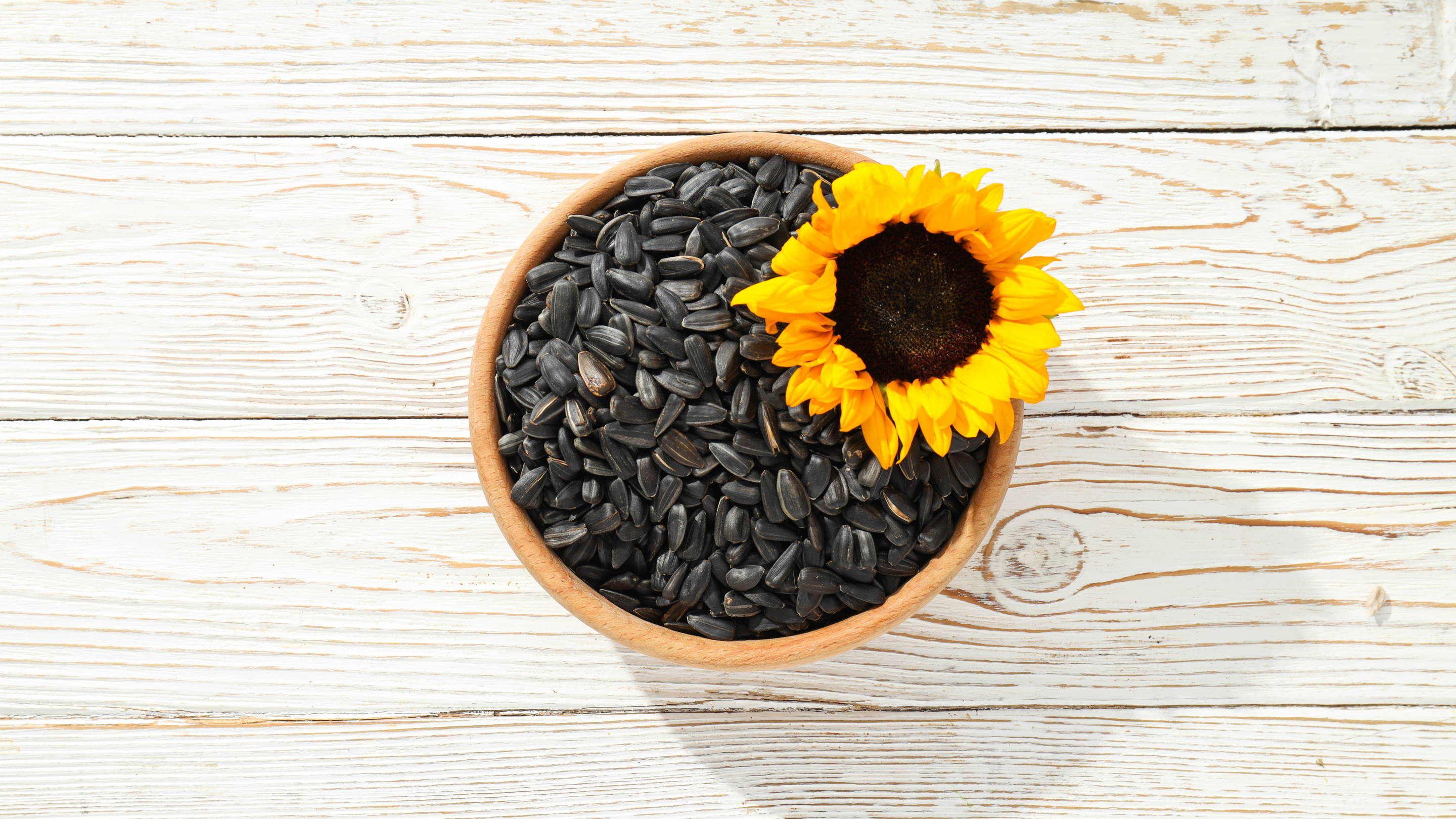 Sunflower Seeds Benefits