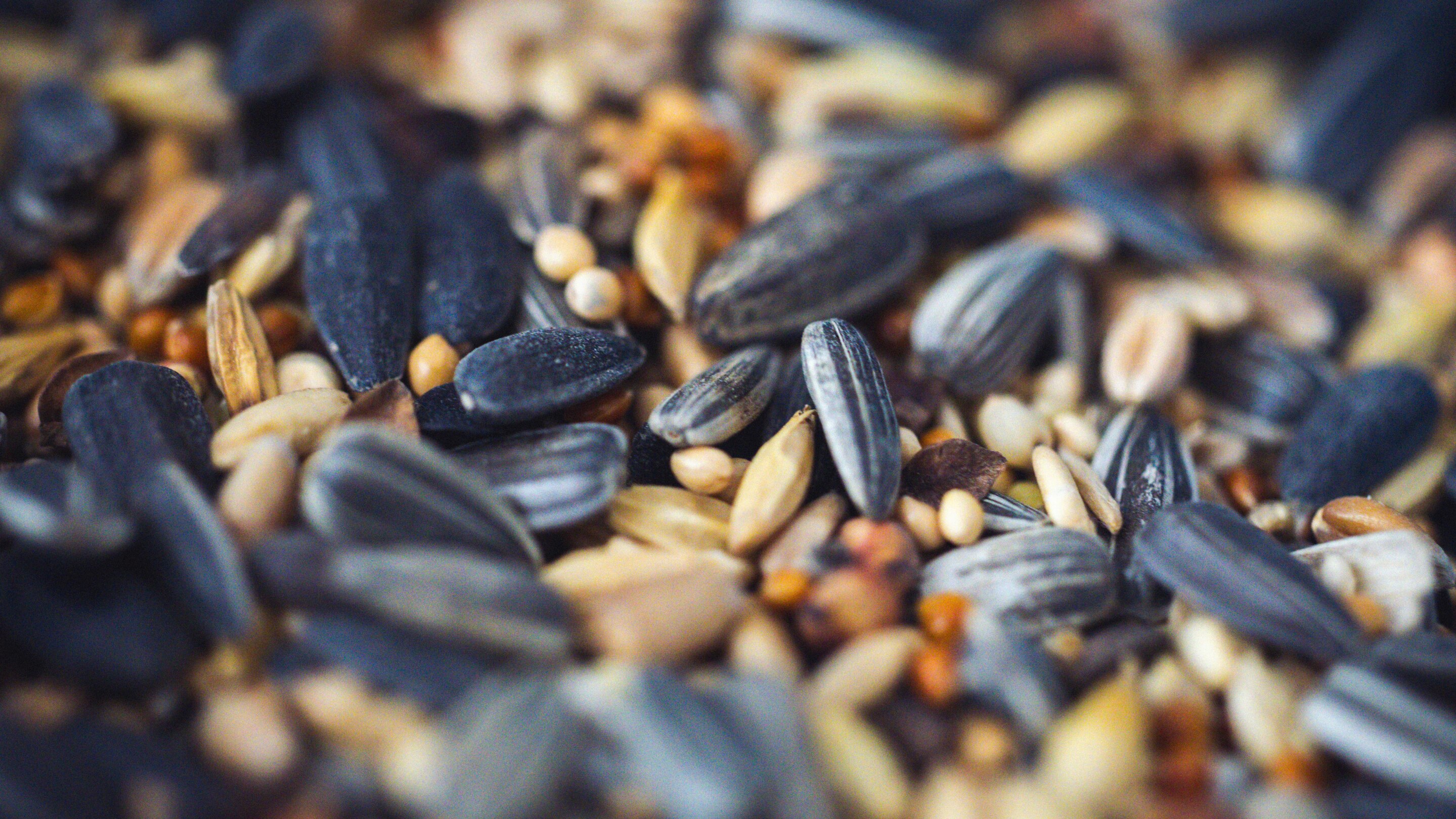 Superfood Origin Story