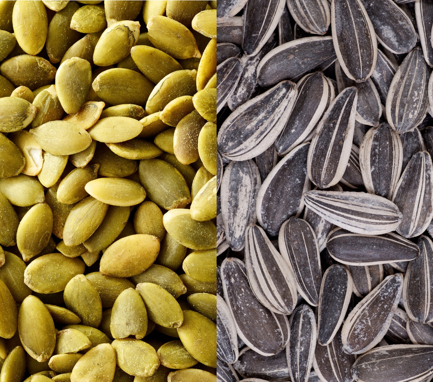 Image of Pumpkin Seeds vs. Sunflower Seeds: Which one deserves a place in your Beauty Diet?