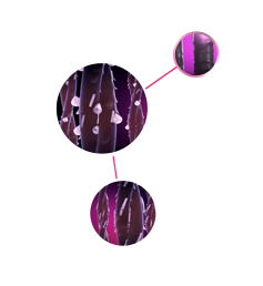 Text with image