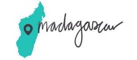 MADAGASCAR CLOVE LEAF