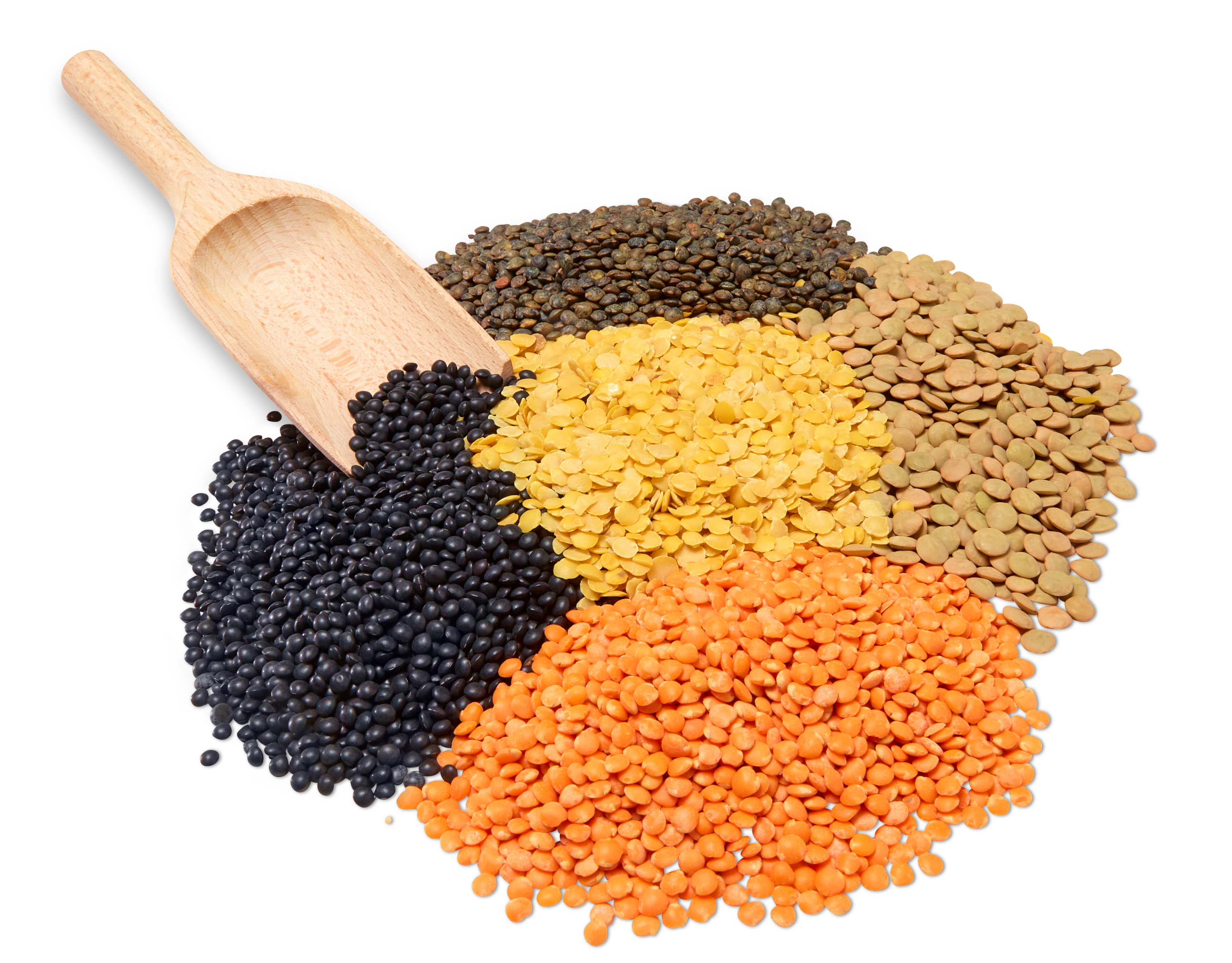 future50 food lentils