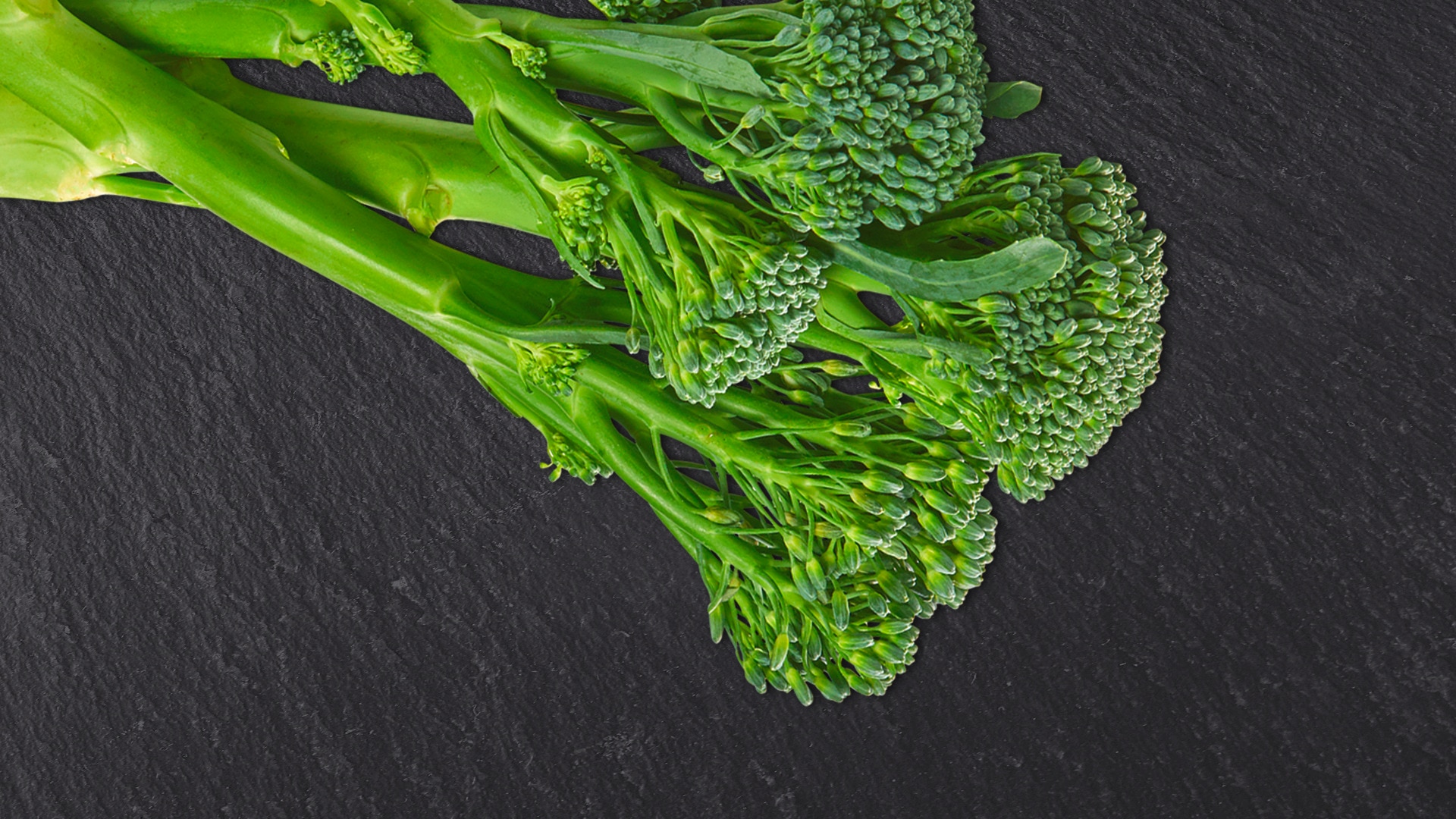 Knorr Broccoli Rabe Profile