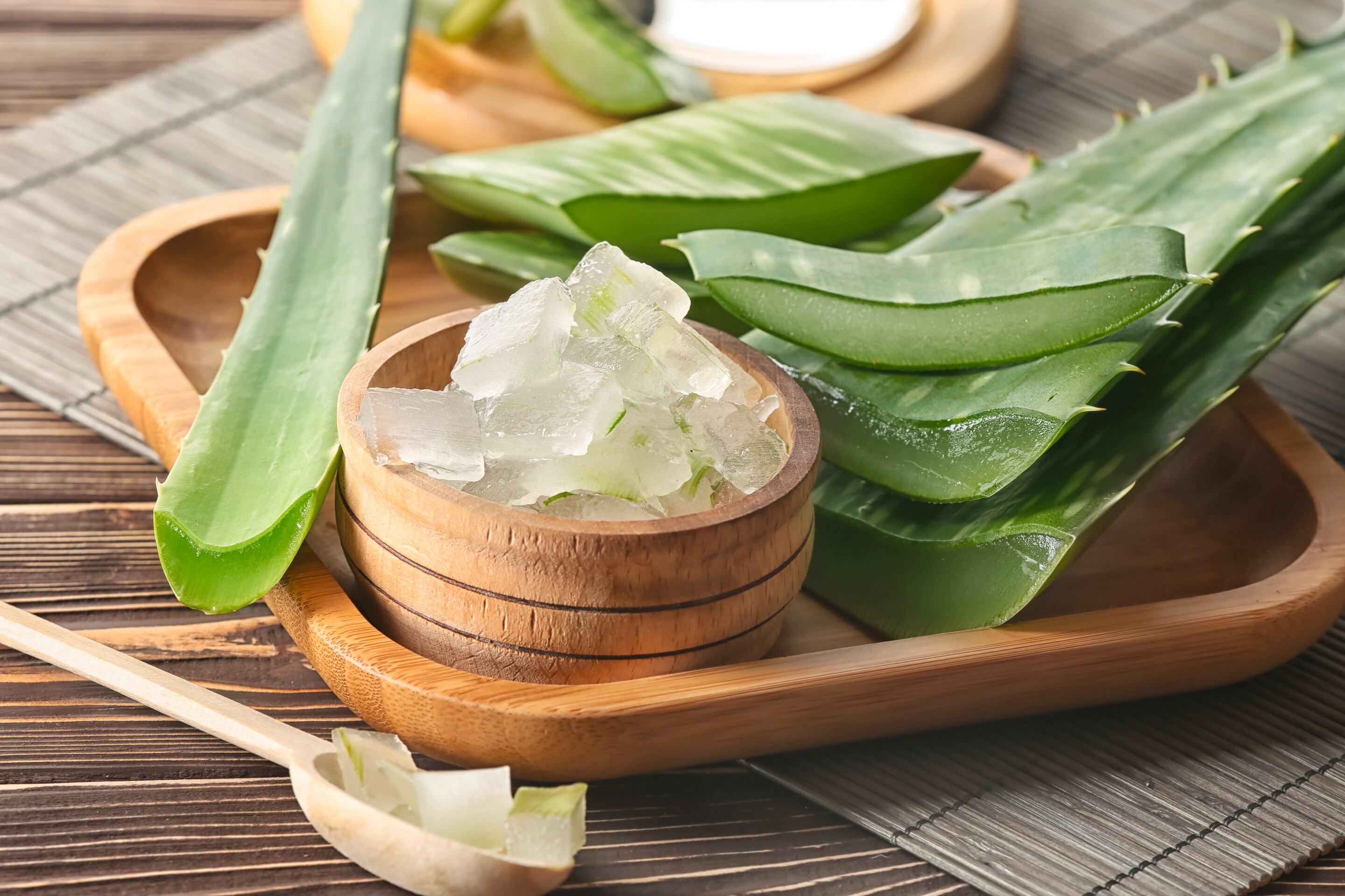 dầu dừa dưỡng tóc nha đam