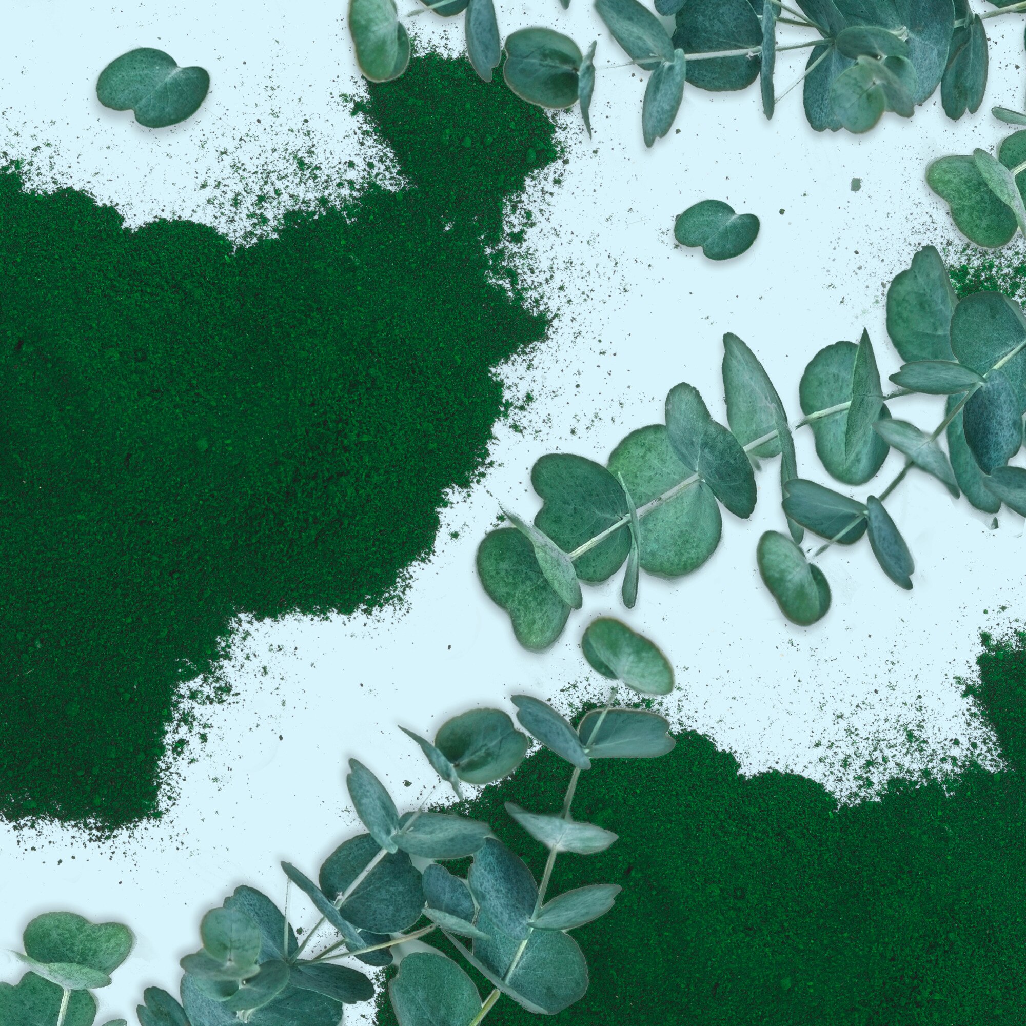 Blue Green Algae