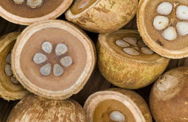 MESOCARPO DE BABAÇU