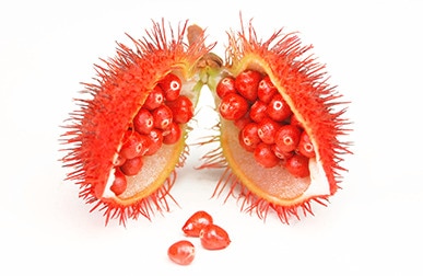 Corante natural URUCUM