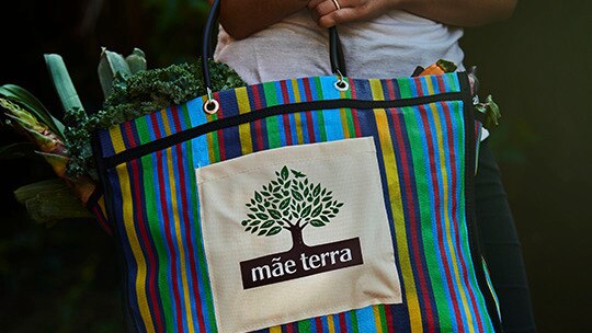 Alimentos orgânicos são mais caros do que os cultivados com agrotóxicos?