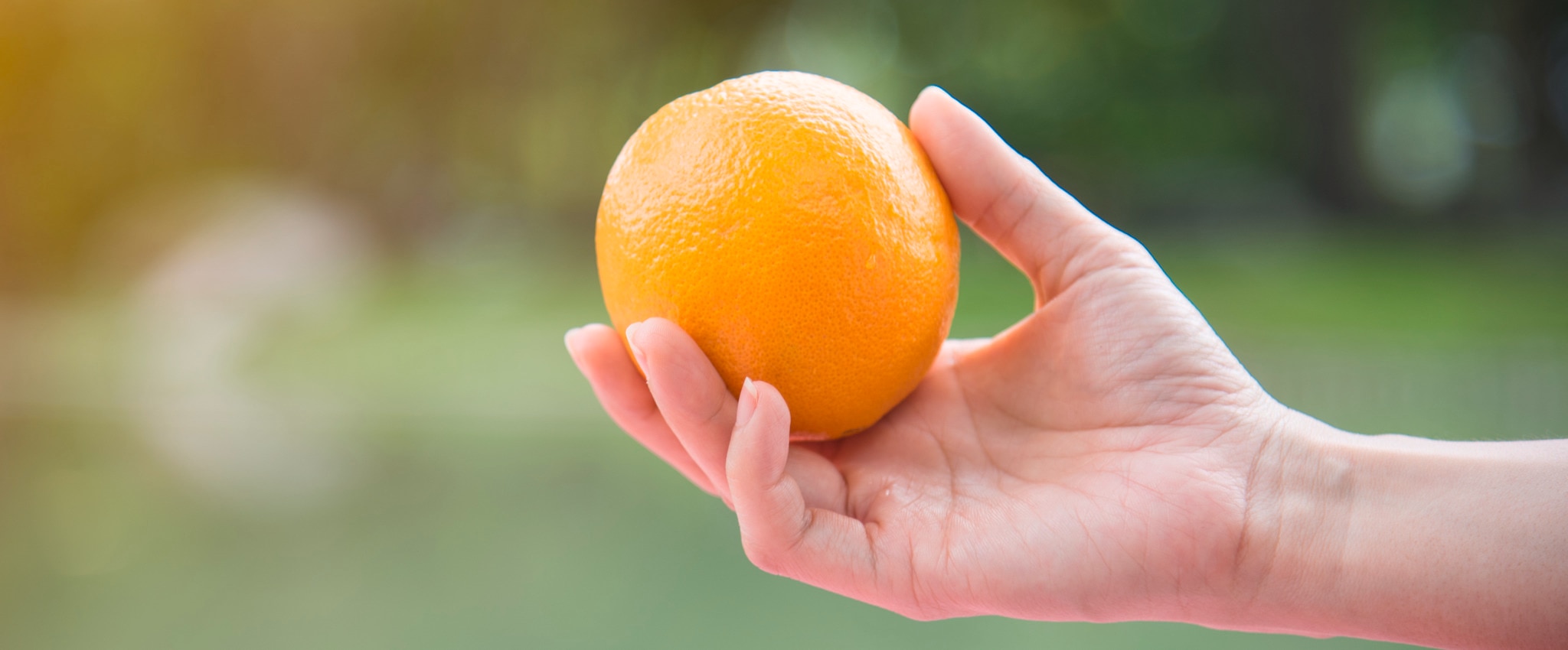 Hero-Immune boosting foods citrus foods