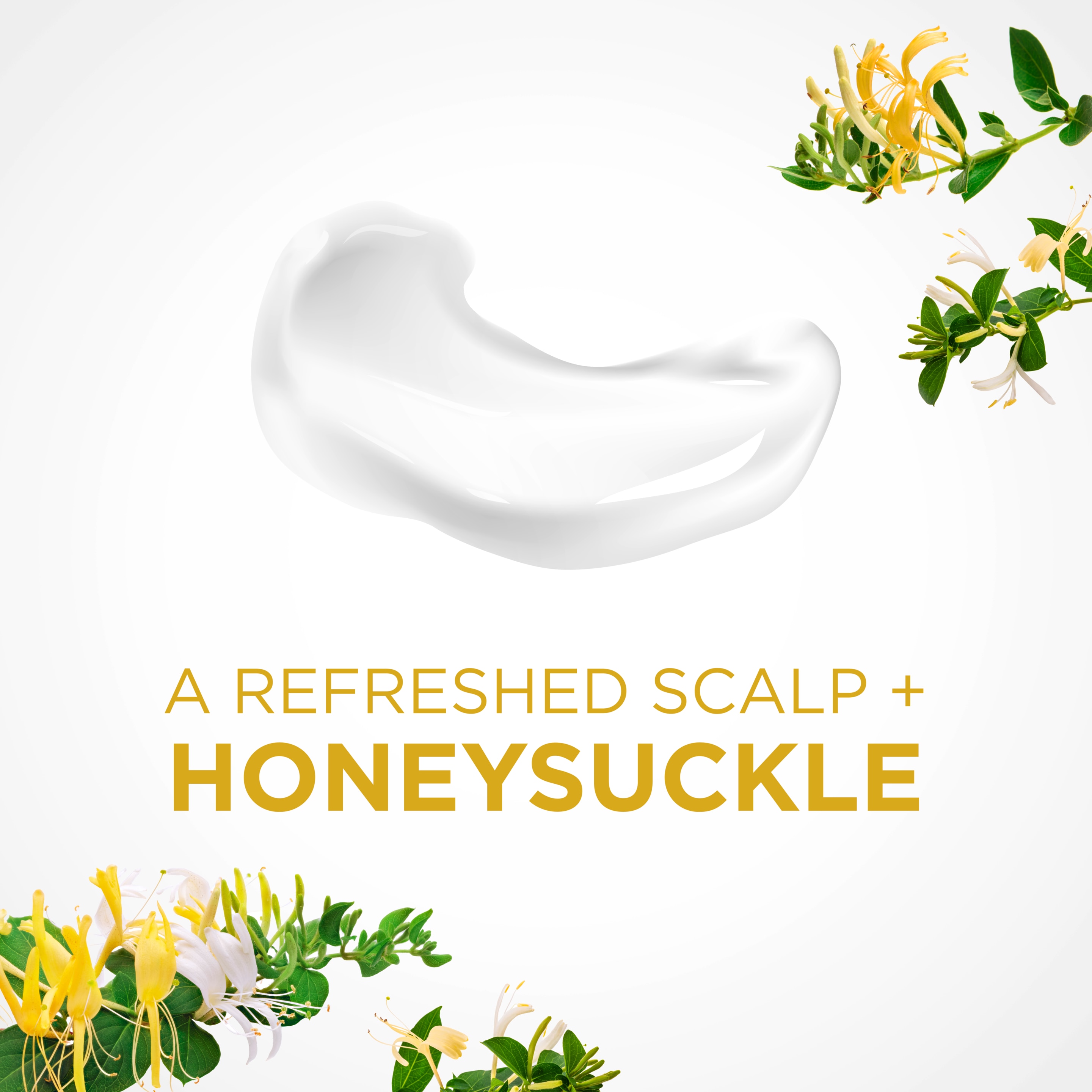 Texture Shot RE-fresh Honeysuckle + Cleanse Conditioner