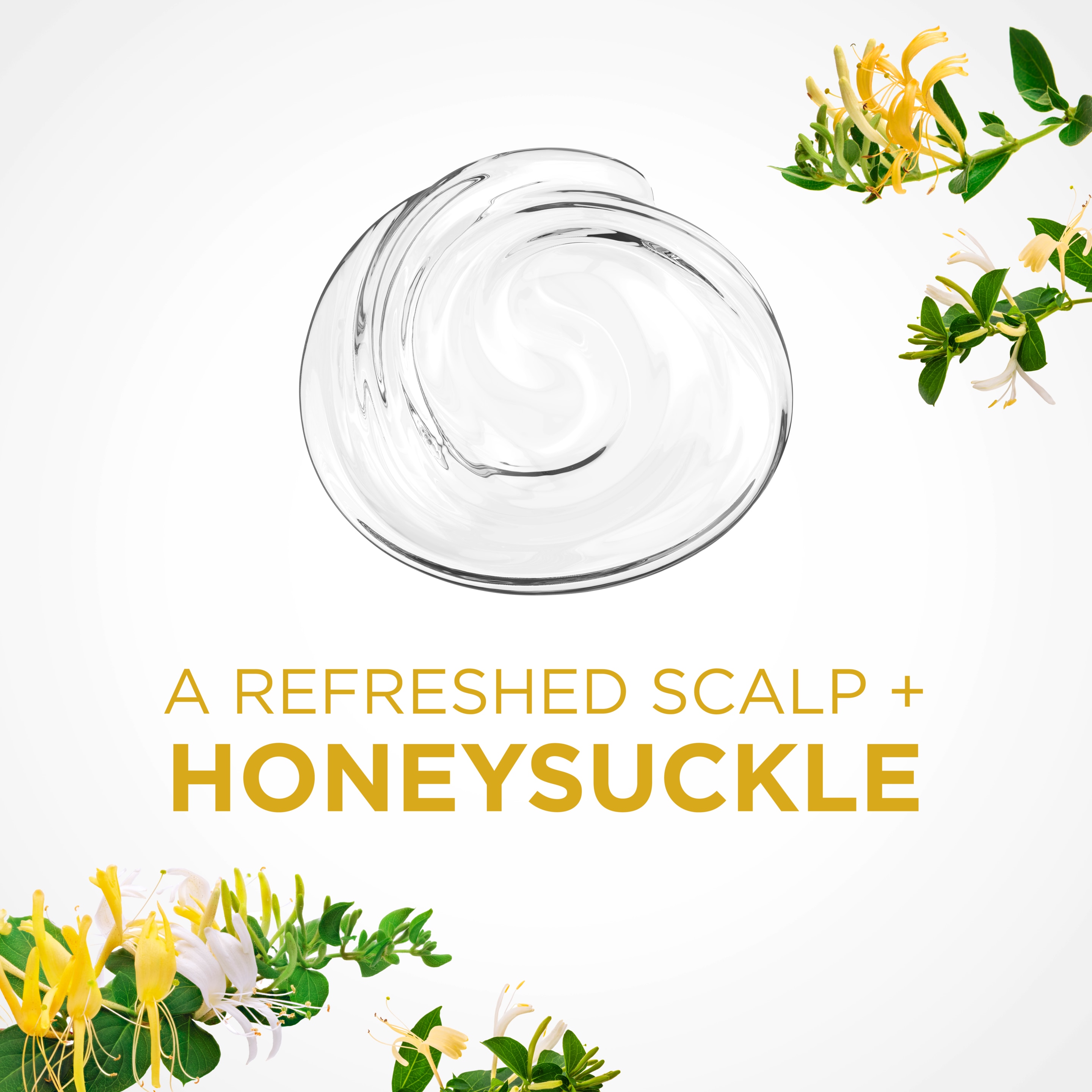 Texture Shot RE-fresh Honeysuckle + Cleanse Shampoo