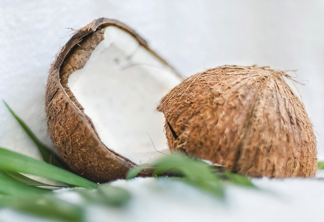 Plant-Based Deodorants: Image of Coconut