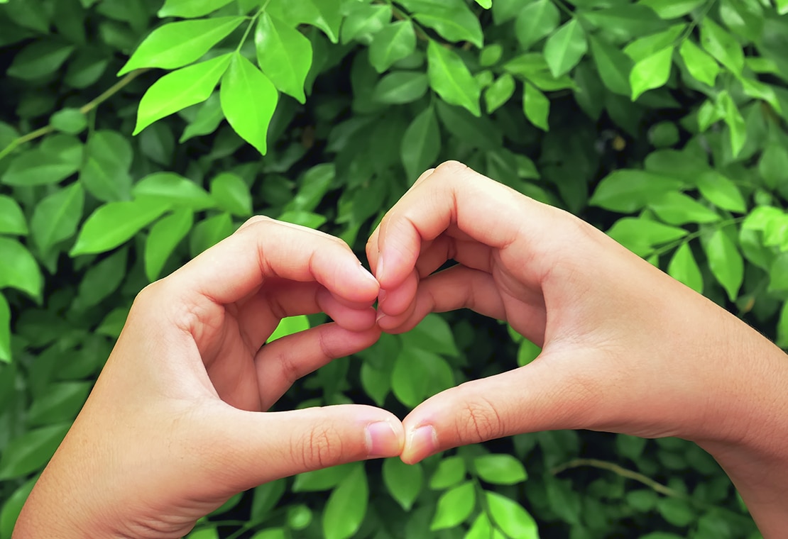 Hands In the Shape of Heart