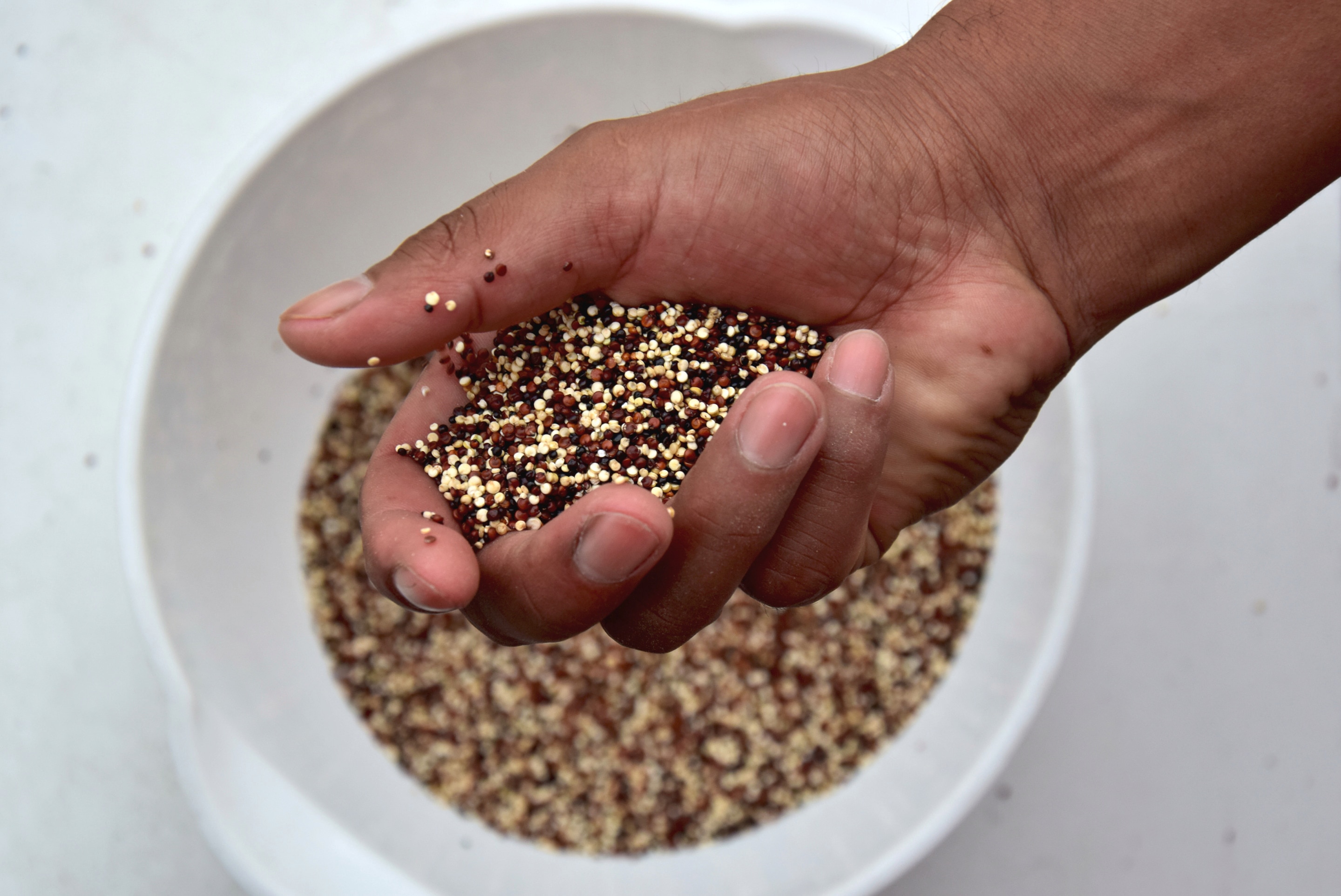 Everything You Need To Know About: Quinoa