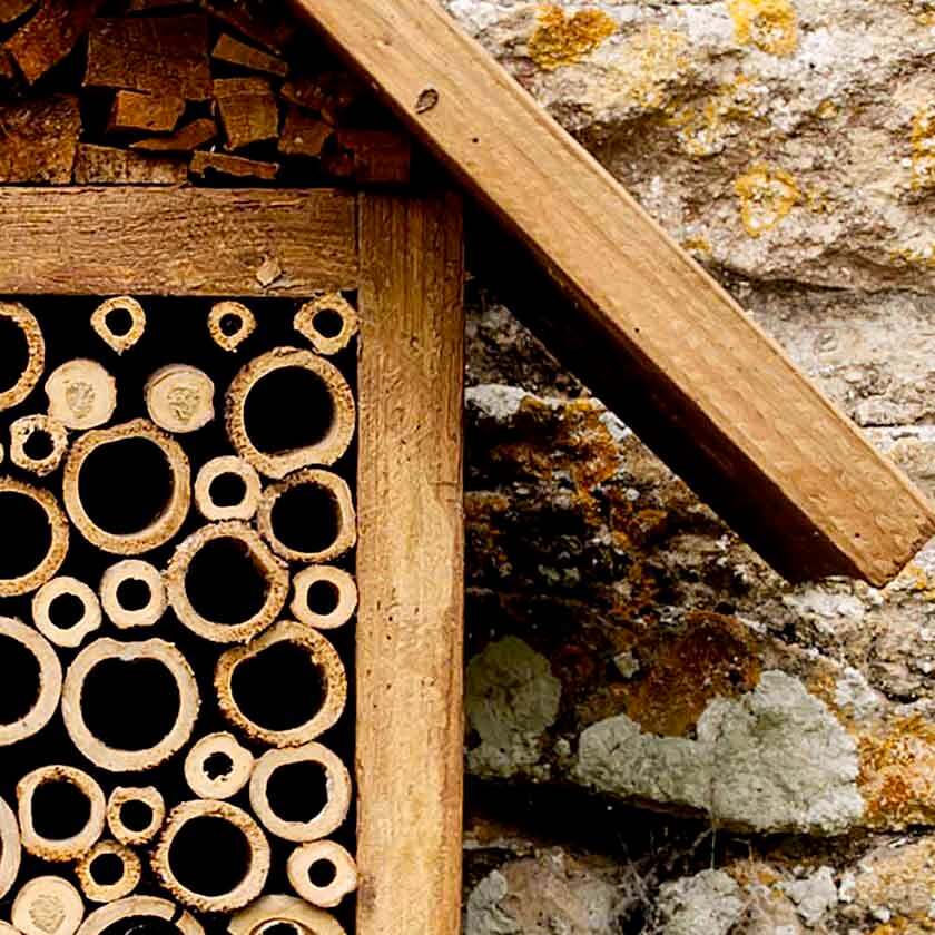 Der Pförtner des Bienenhotels