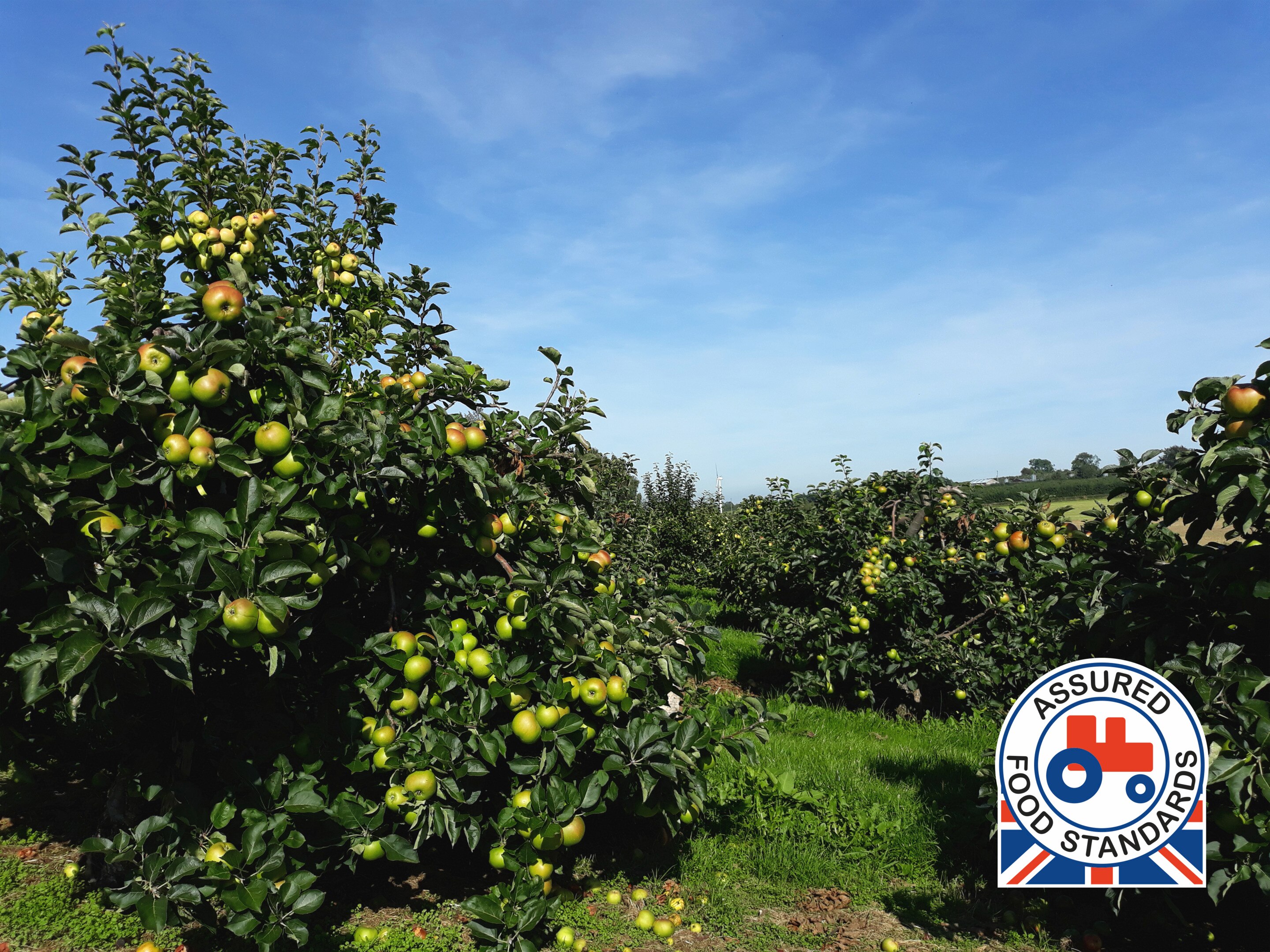 Colman's Chicken Farm Images