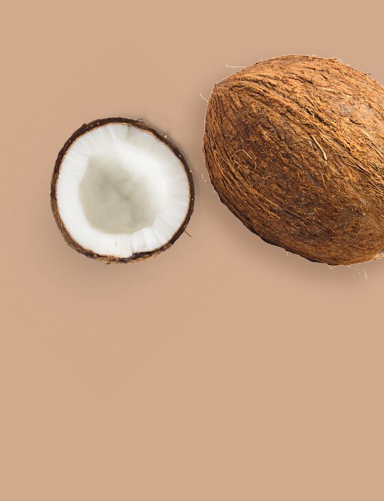 Coconut ingredient