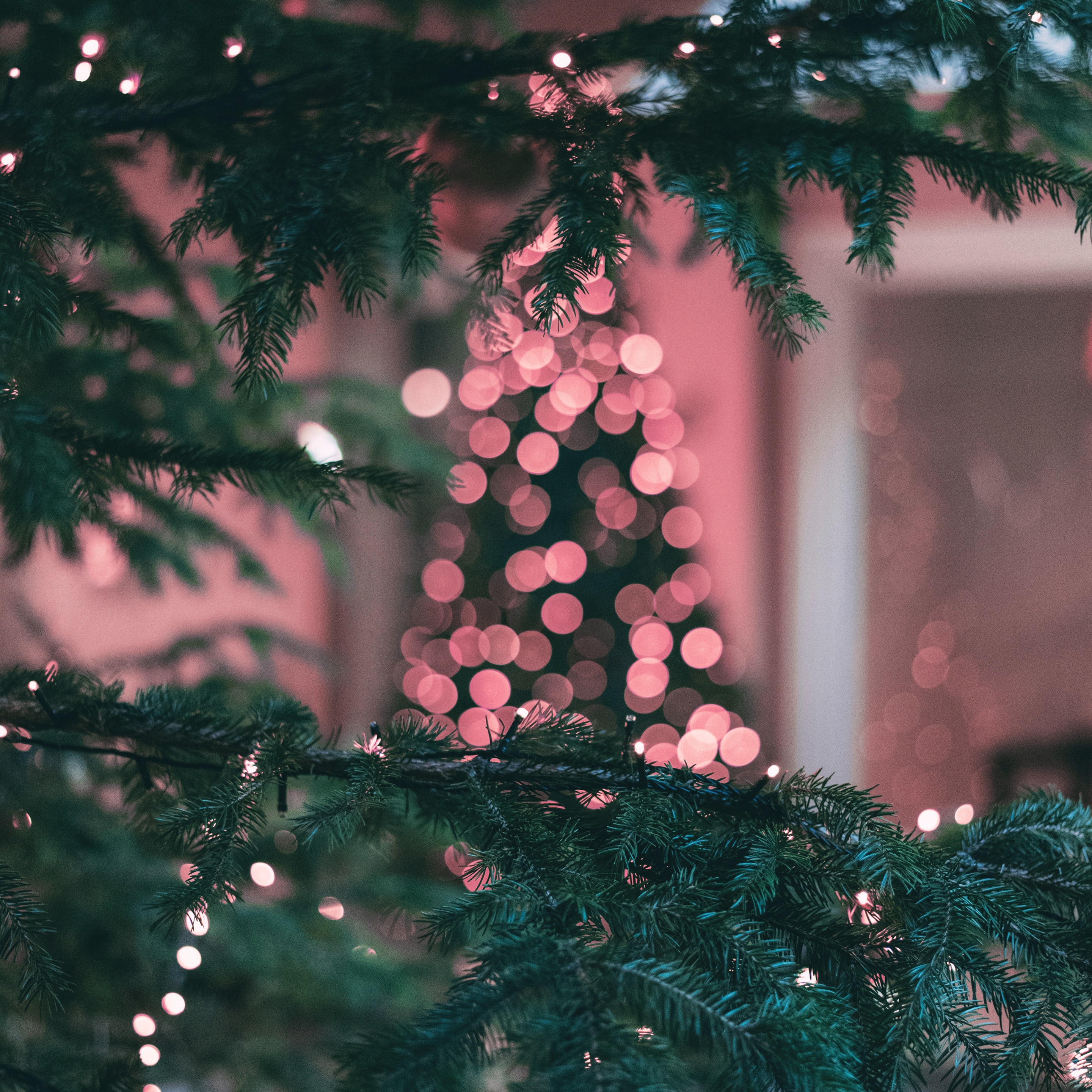 Christmas tree with pink lights