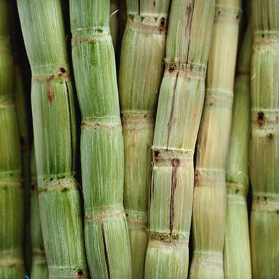 Zendium zorgt voor minder afval met een gerecyclede verpakking