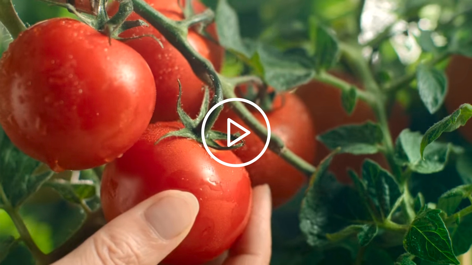 Knorr Natuurlijk Lekker Maaltijdmixen