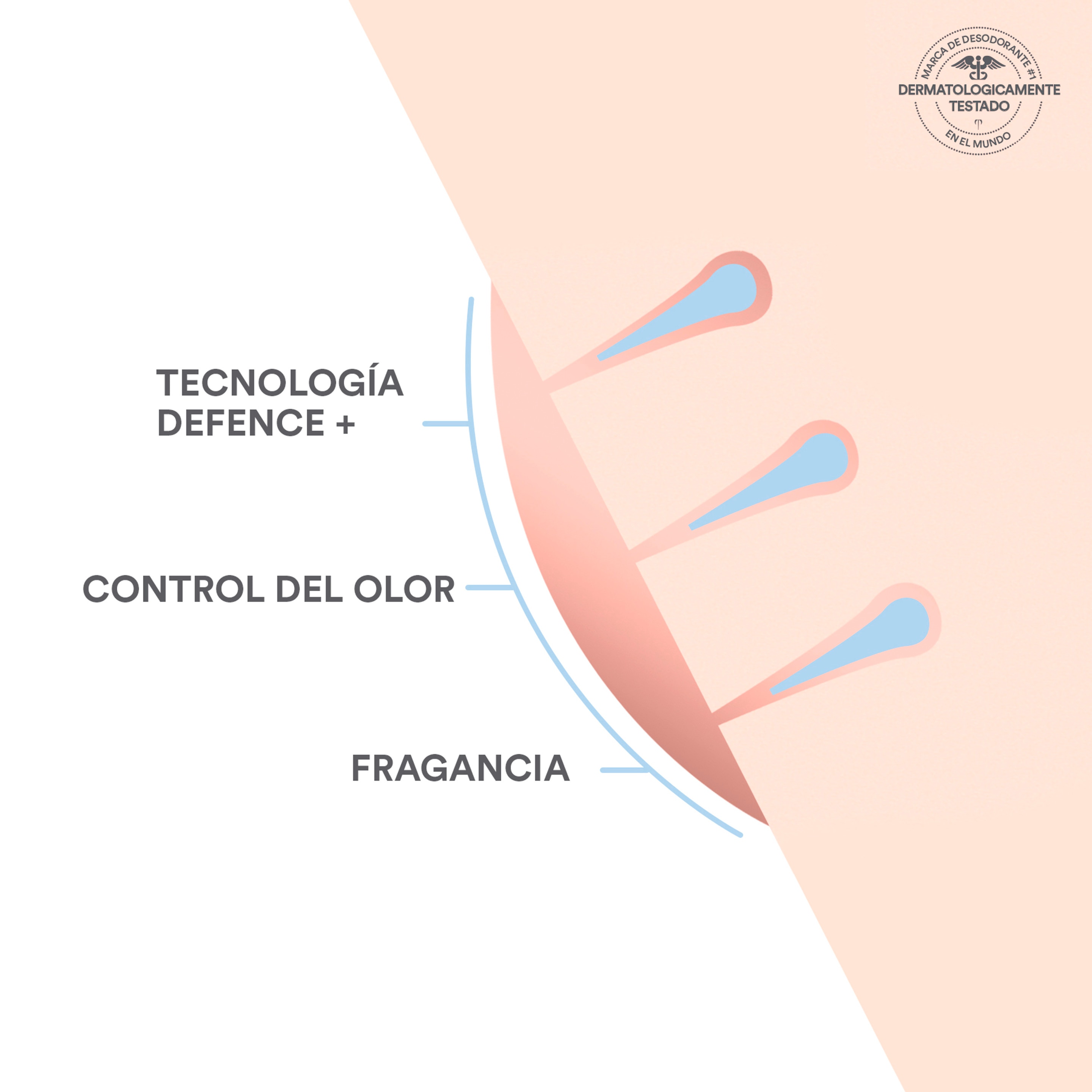 detalle rexona