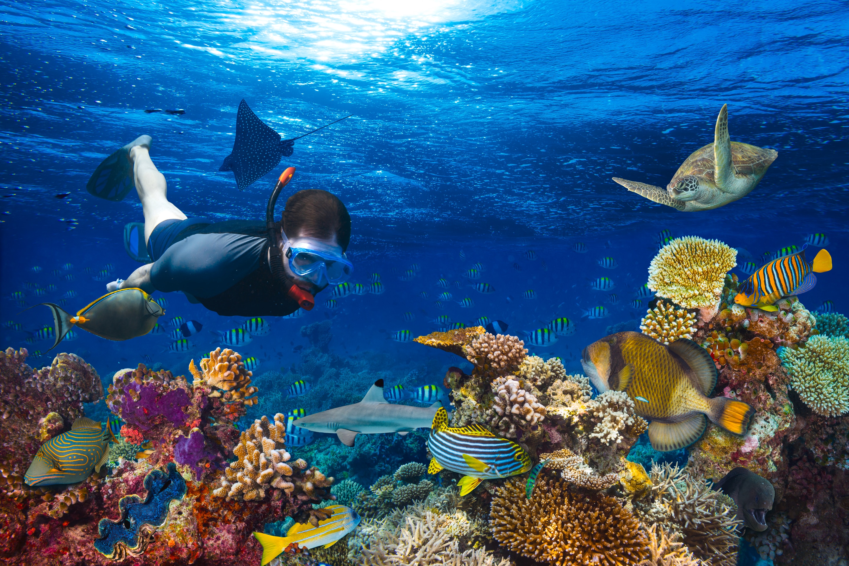 pria sedang menyelam snorkeling