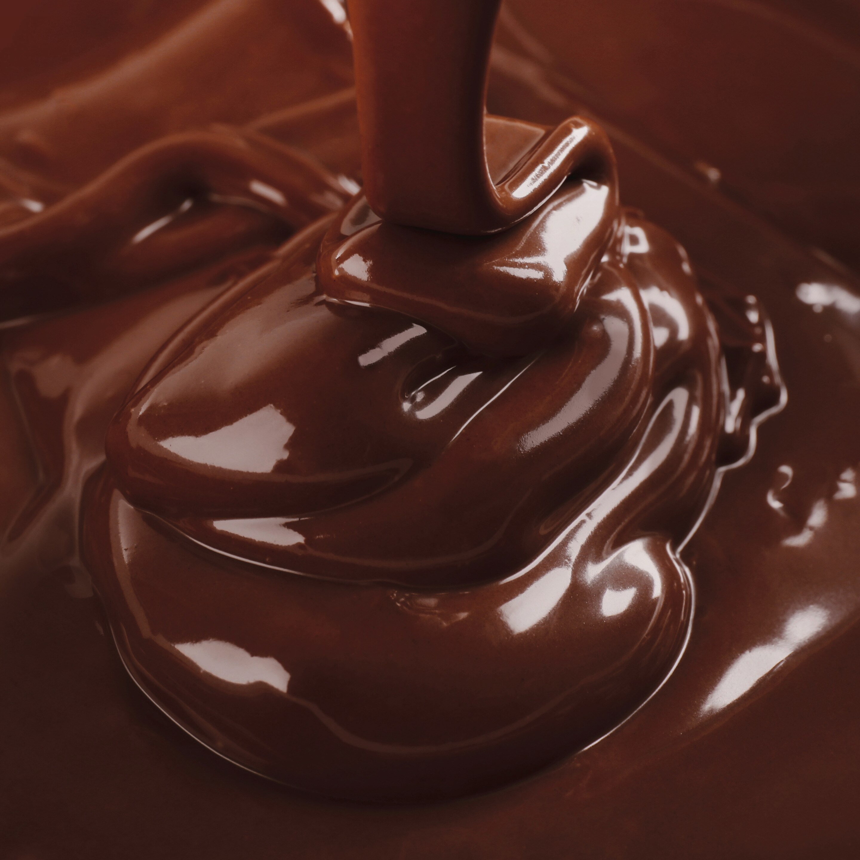The History of Chocolate