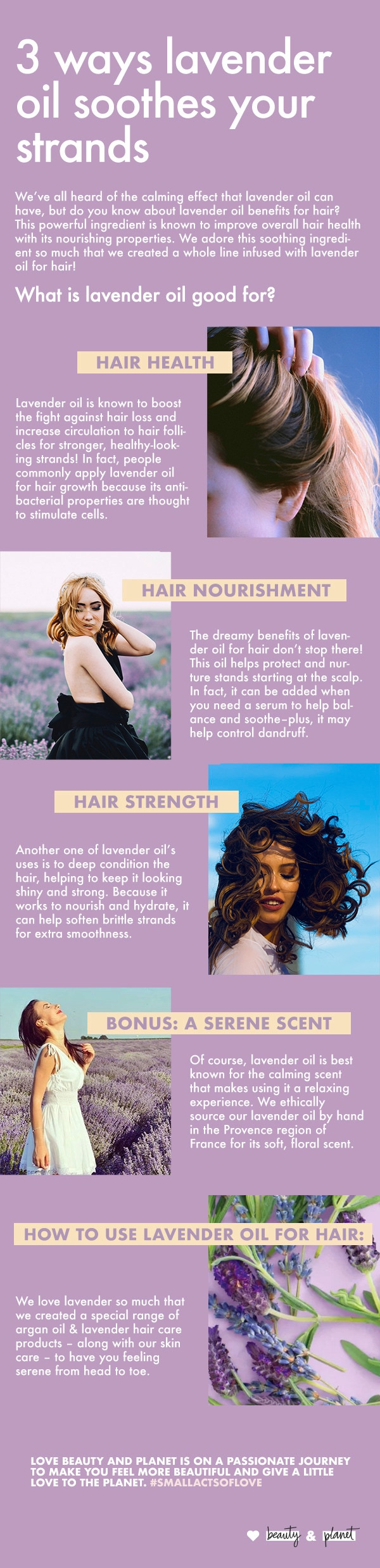 Lavender oil for hair Infographic