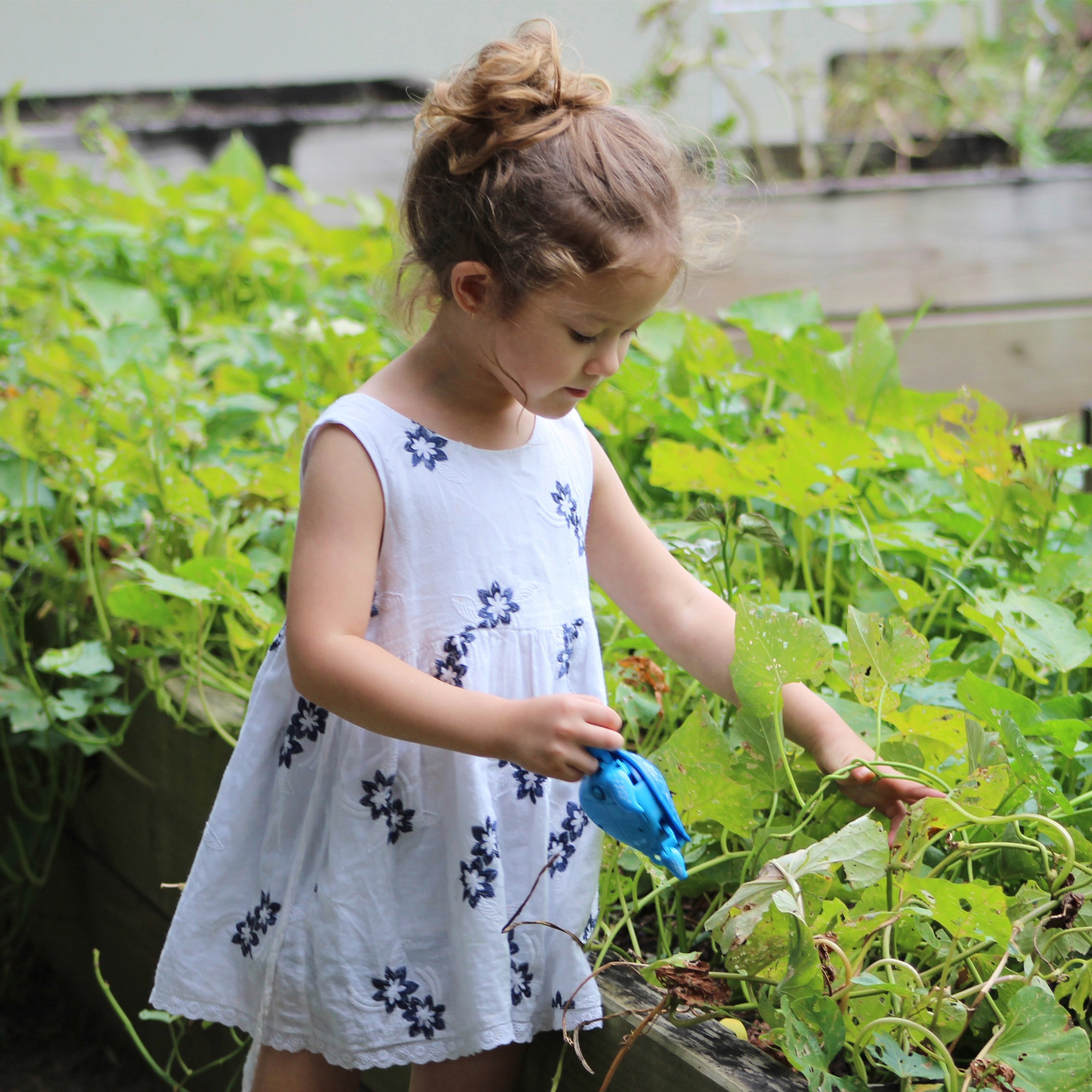 Do Your Little Ones Know How Plants Grow?