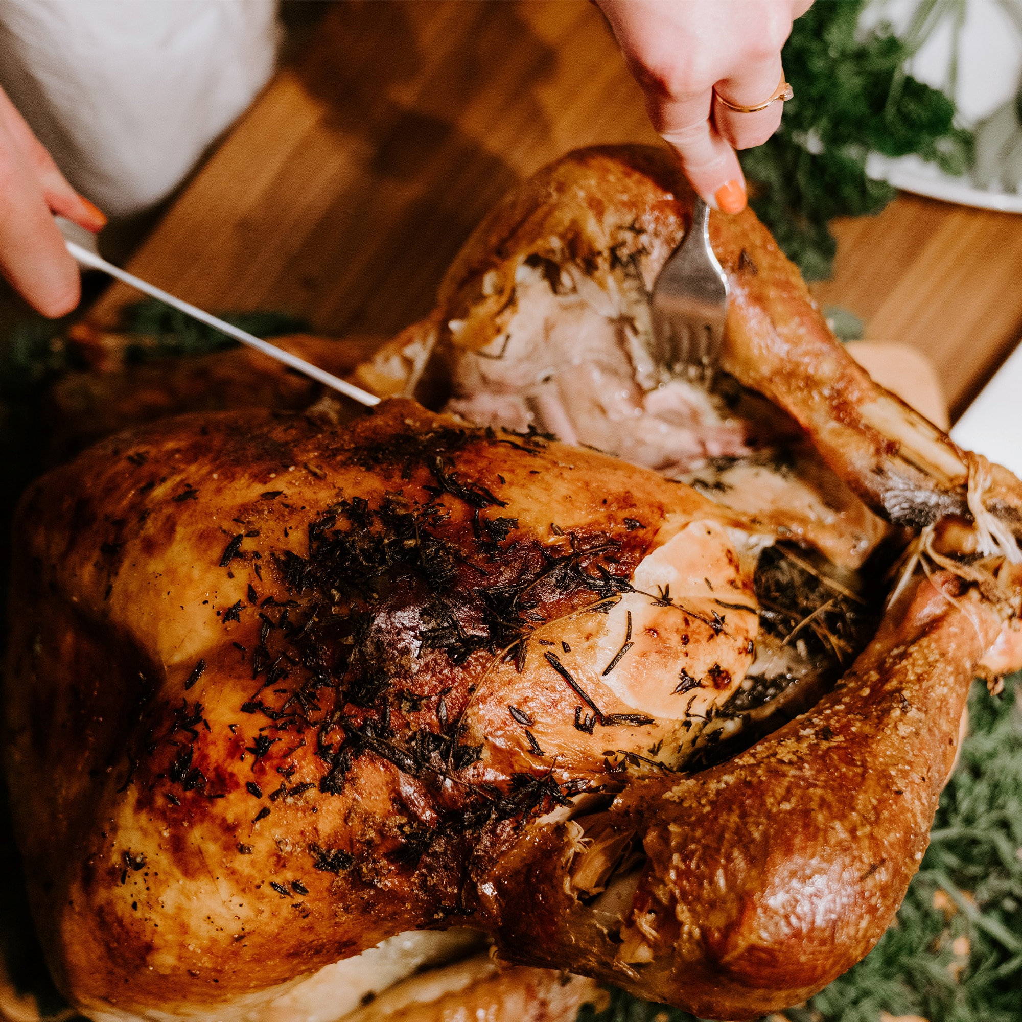Chicken Recipes