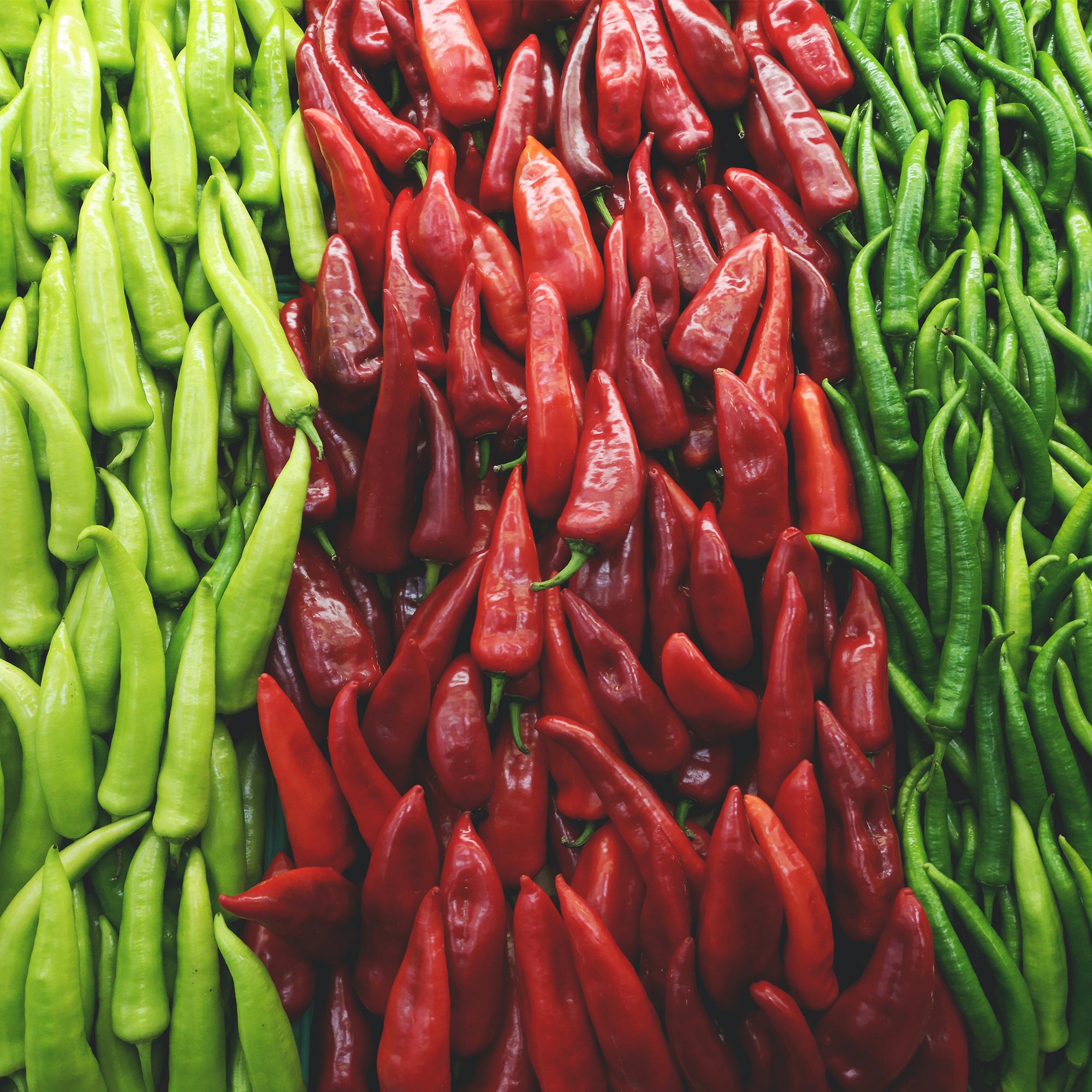 Everything You Didn’t Know About Chillies