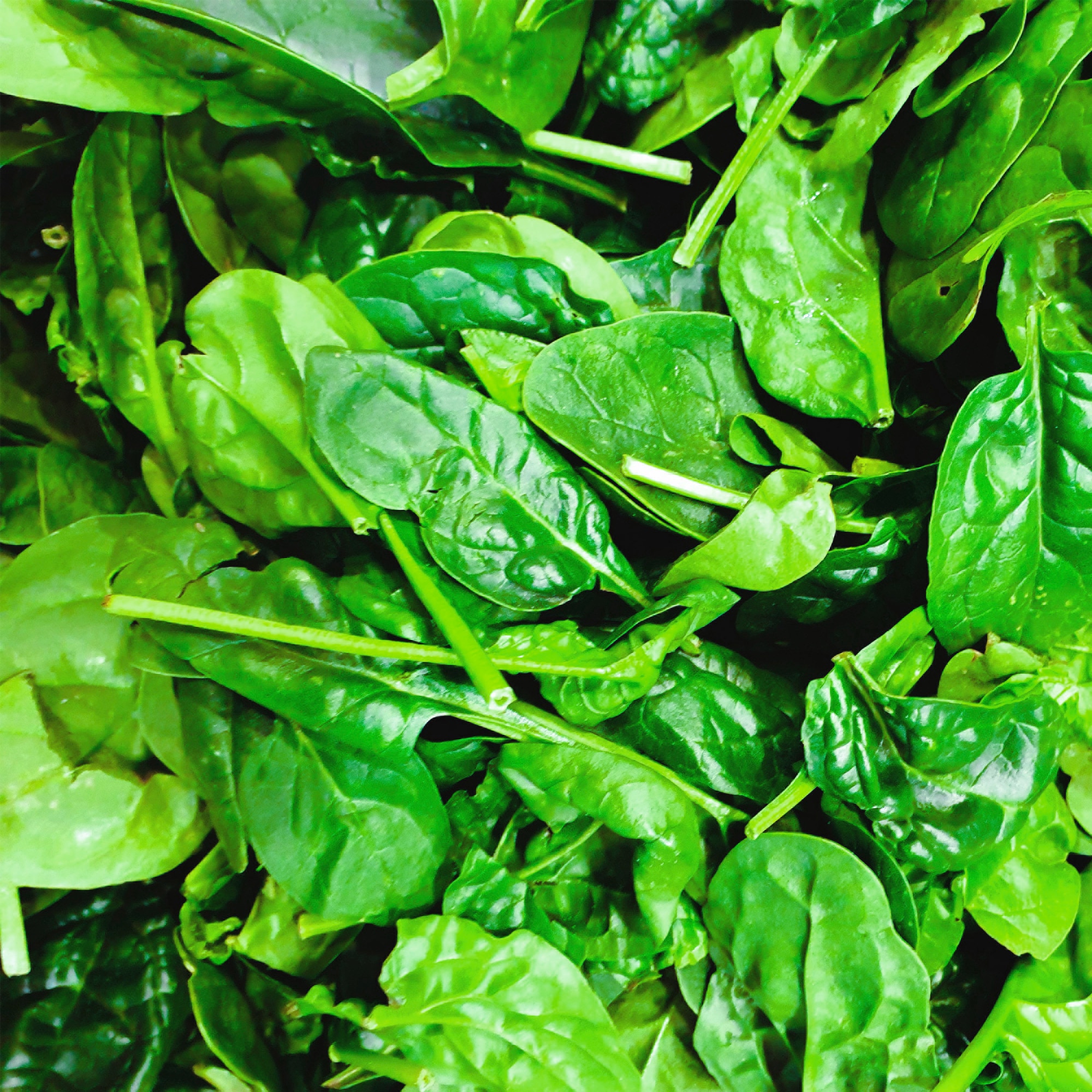 4 Leaves For Tasty Salads