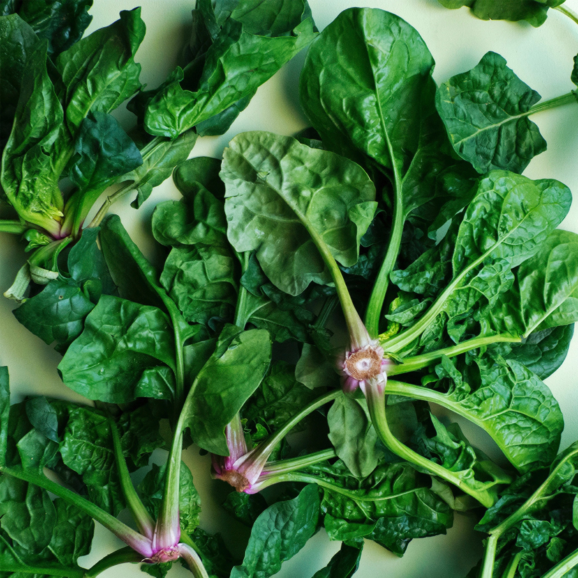 Super Spinach: Food Of The Future